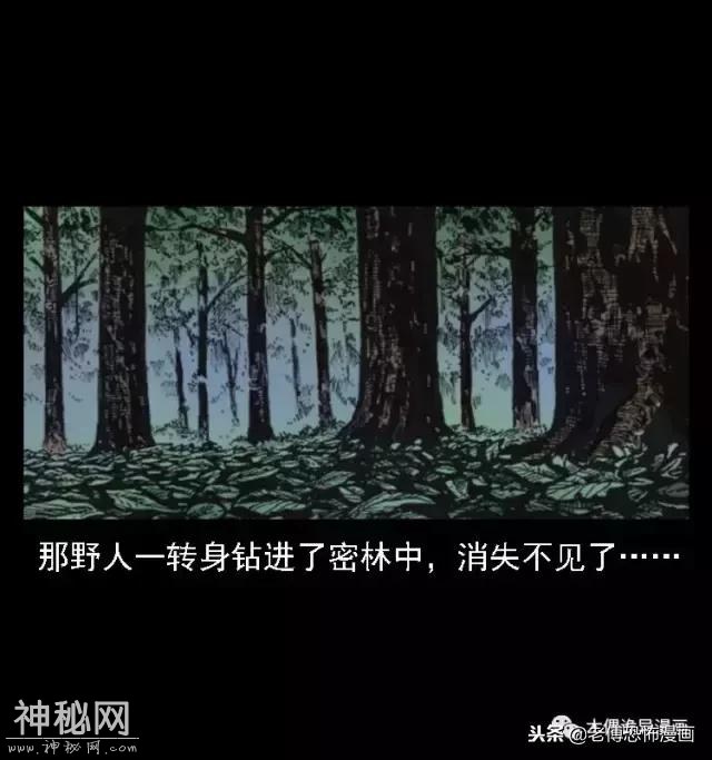 木偶漫画：民间真实故事，惊奇档案之神农架野人-69.jpg