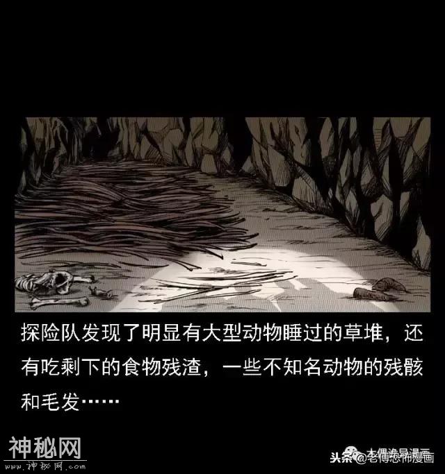 木偶漫画：民间真实故事，惊奇档案之神农架野人-79.jpg