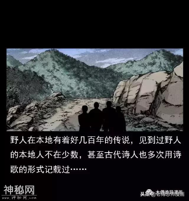木偶漫画：民间真实故事，惊奇档案之神农架野人-82.jpg
