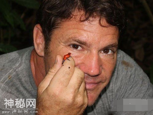 世界十大最毒动物：第一名竟然是它！-1.jpg