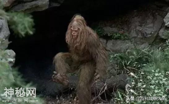 湖北现野人，隐居2000多年?-2.jpg
