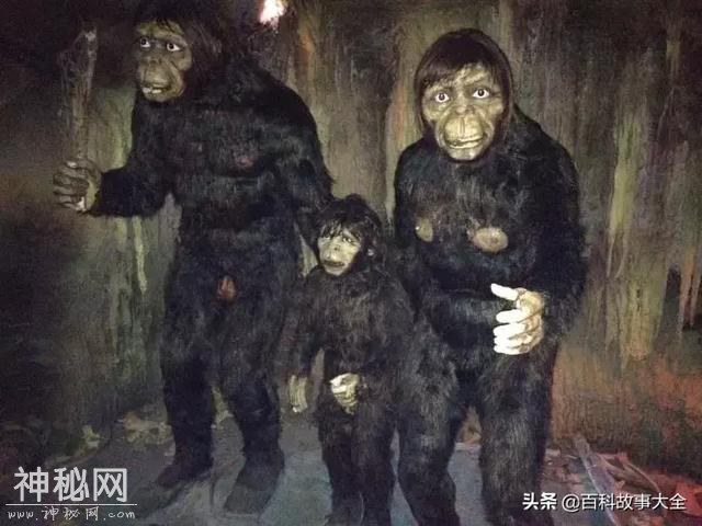 湖北现野人，隐居2000多年?-1.jpg