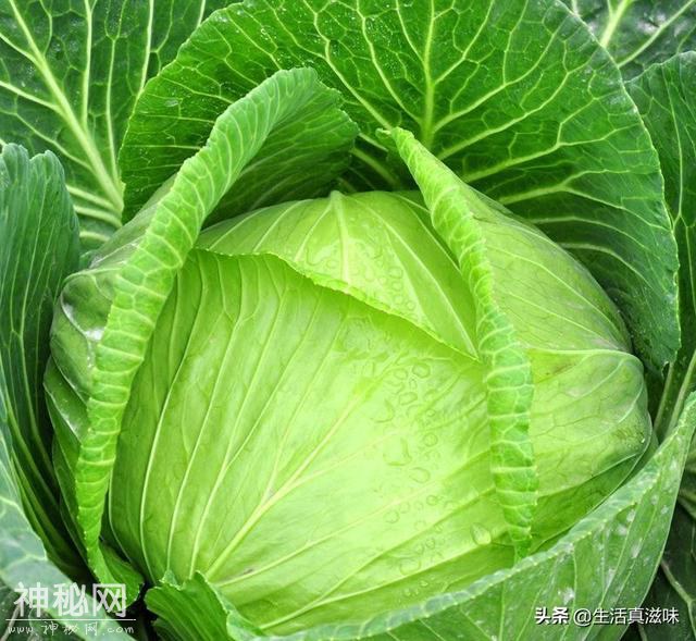 几块钱就能炒一大盘的健康养生菜，5种做法让你的孩子爱上吃饭-1.jpg