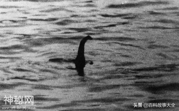 中国湖泊里有没有水怪？这三个奇怪的巨大生物，科学至今无法解释-3.jpg