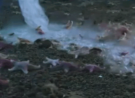 每天了解一种自然现象-“白色死神”死亡冰柱-2.jpg