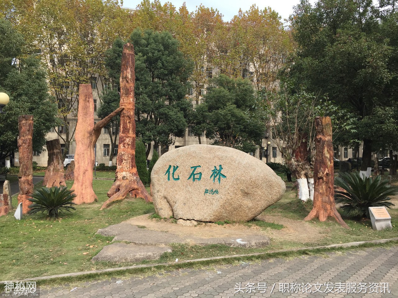 我国著名高校中国地质大学校园欣赏-8.jpg