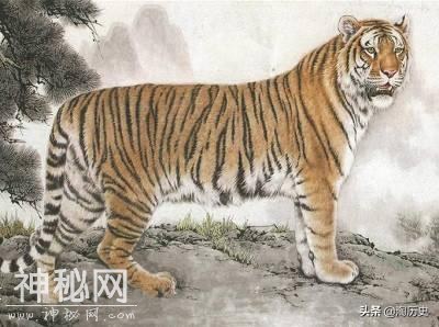 清朝鸦片战争，此将领未战就已胜券在握，竟打算派动物上阵斗英军-2.jpg