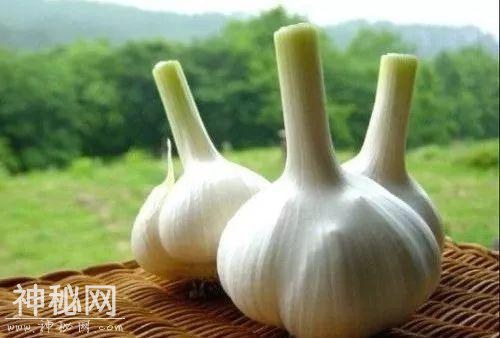 健康丨细菌并非都是有害的，人体太多的机能都依赖细菌！-5.jpg