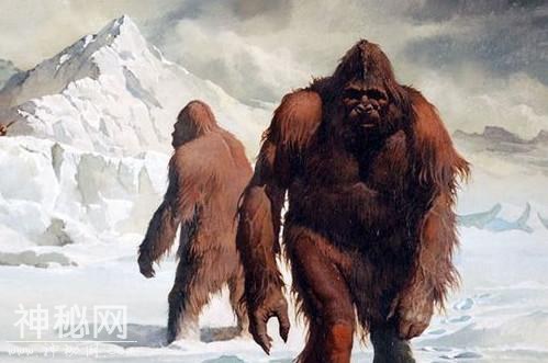 5种传闻中的未知生物，第3种在国内曾被捕获两次-1.jpg