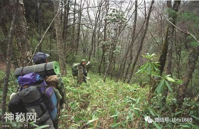 中国“野人”考察十年1：“马来西亚“大脚怪”与神农架事件调查-8.jpg
