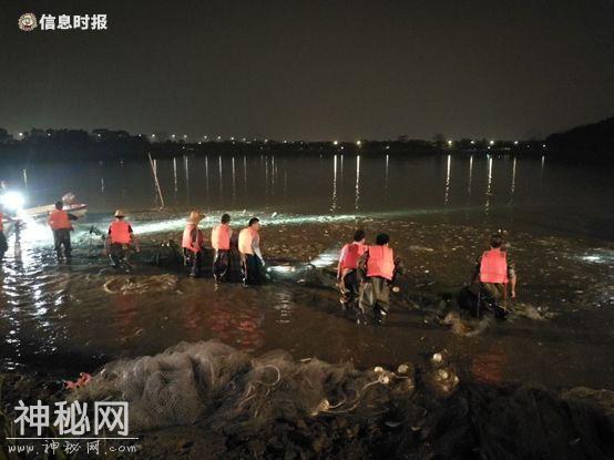 白云湖“水怪”重出江湖！背上有钢叉刺杀伤痕，已被制成标本-5.jpg
