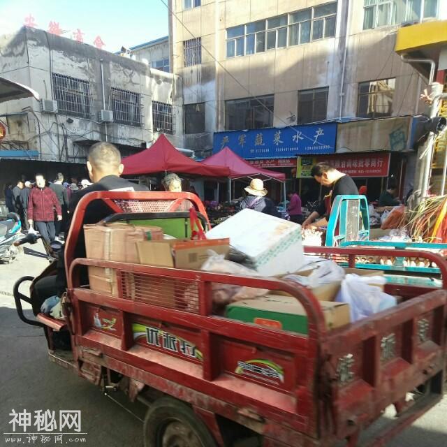 为什么电动车非要有脚踏板才能上牌照？专家的建议老百姓怎么看？-2.jpg