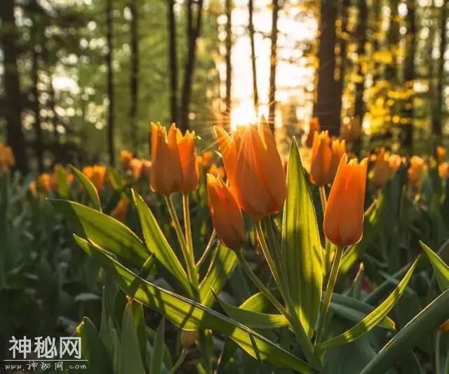 心情唯美的句子，很入心，感悟颇深-3.jpg