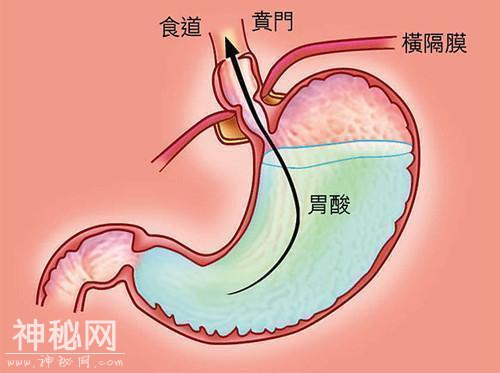 乙肝病毒DNA可以反映真实情况！-2.jpg