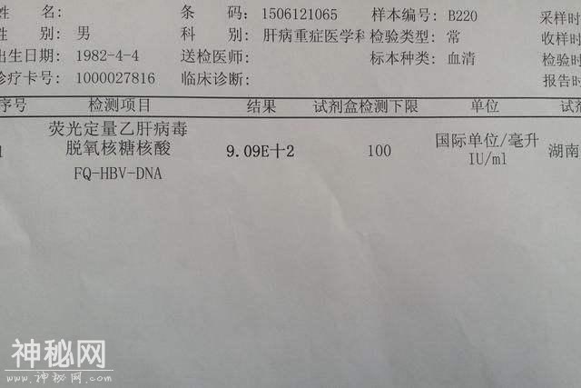 乙肝病毒DNA可以反映真实情况！-3.jpg