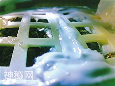 嫦娥四号实现人类首次月面生物试验 月球上的棉花种子发芽啦-1.jpg