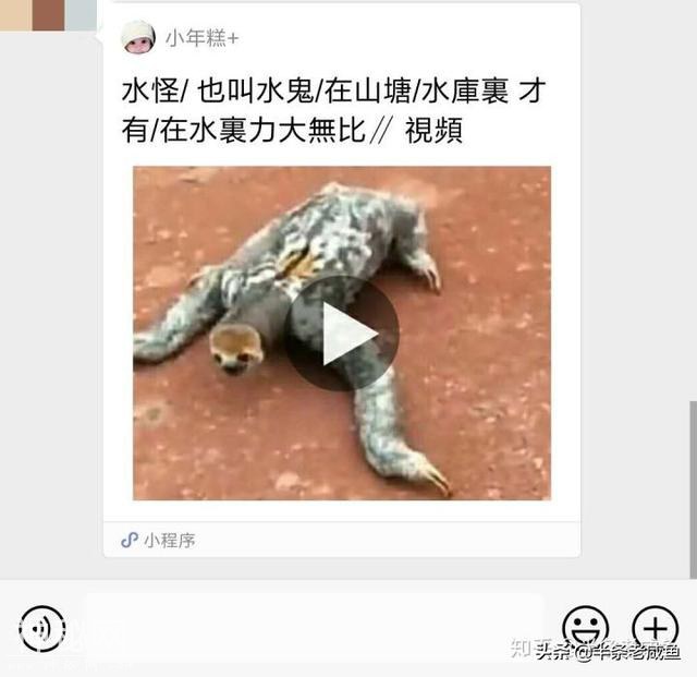 一个水怪视频引发的思考-1.jpg