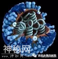 「病毒漂流记」流感正流行，教你巧辨别-1.jpg