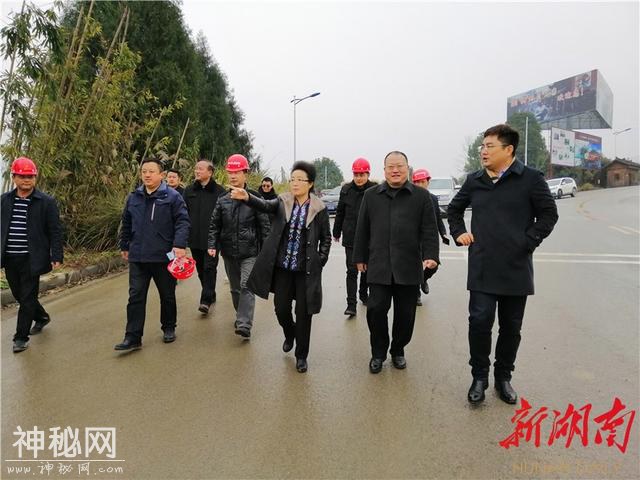 龙晓华到湘西地质公园博物馆项目现场办公-1.jpg