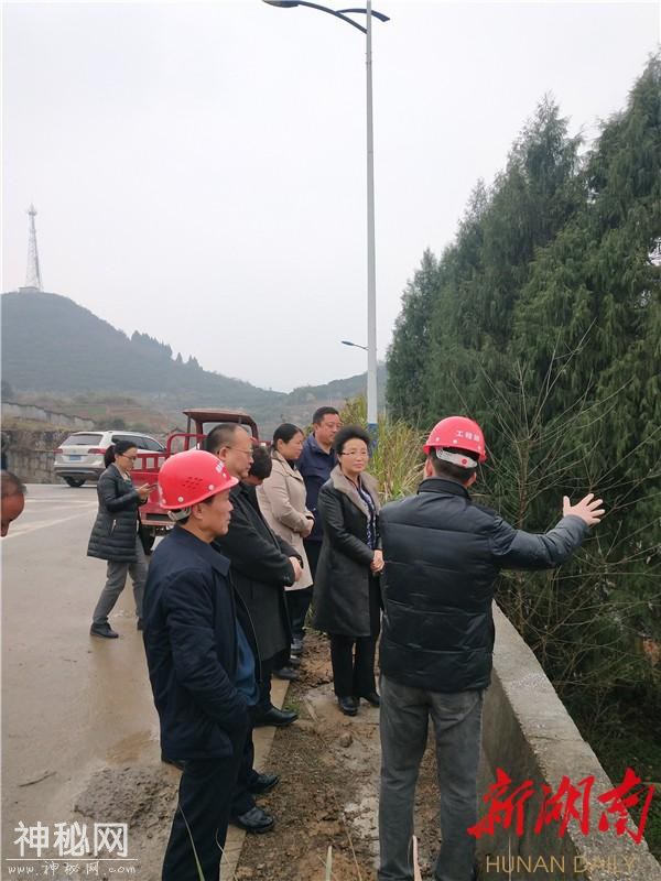 龙晓华到湘西地质公园博物馆项目现场办公-2.jpg
