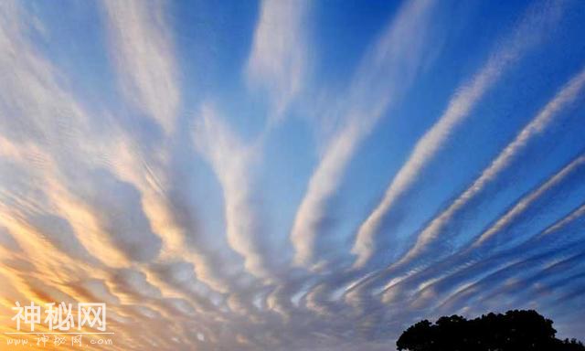 每天了解一种自然现象-“百变精灵”空中怪云-13.jpg