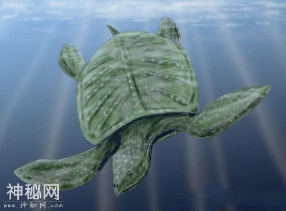 地球上10大远古的动物祖先，现在都已经灭绝了-1.jpg