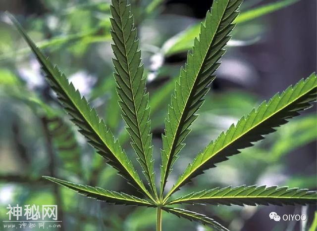 告别百万细菌，大家都靠它！-7.jpg
