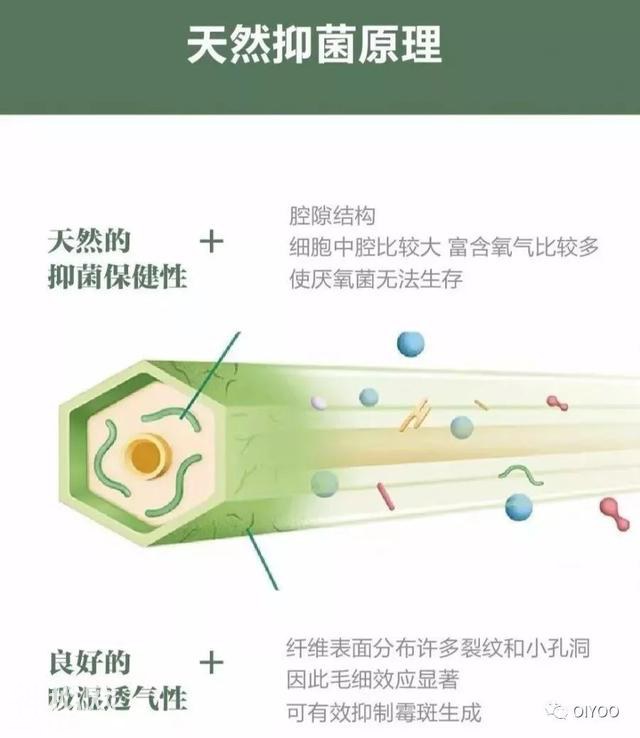 告别百万细菌，大家都靠它！-6.jpg
