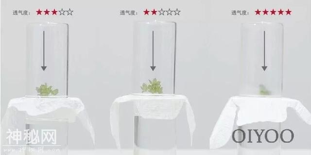 告别百万细菌，大家都靠它！-17.jpg