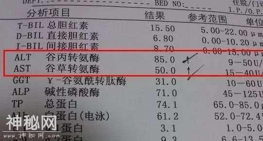 复查乙肝两对半和肝功能 及时判断乙肝病毒变异！-3.jpg