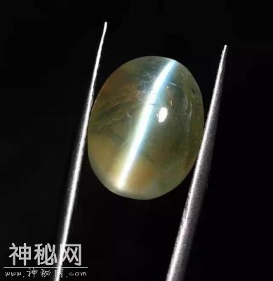 山东一小山包，挖出2颗考古界劳斯莱斯，专家：万历乾隆才1颗！-6.jpg