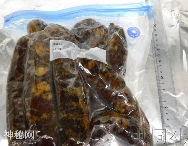 日本从中国访日游客携带香肠中发现非洲猪瘟活病毒-1.jpg