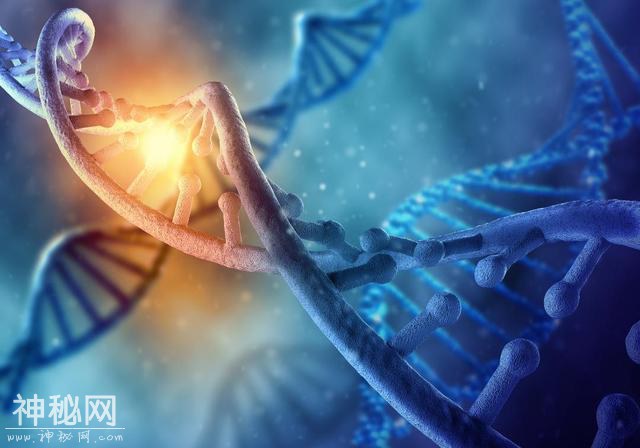 无数证据告诉我们 其实我们这个宇宙包括我们都是被设计出来的-4.jpg