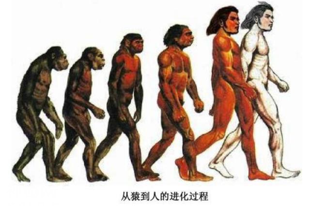 人究竟是怎么来的？是外星人洒落的种子，还是动物进化而来的？-1.jpg