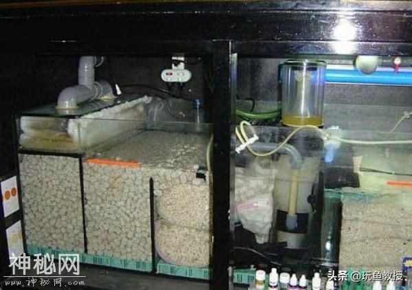 硝化细菌的作用是什么？-2.jpg