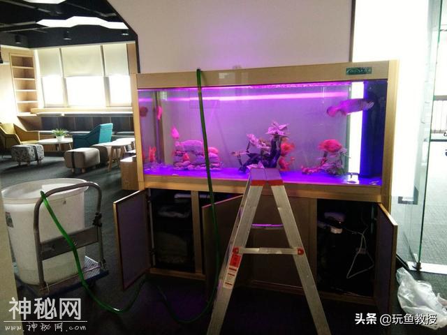 硝化细菌的作用是什么？-3.jpg
