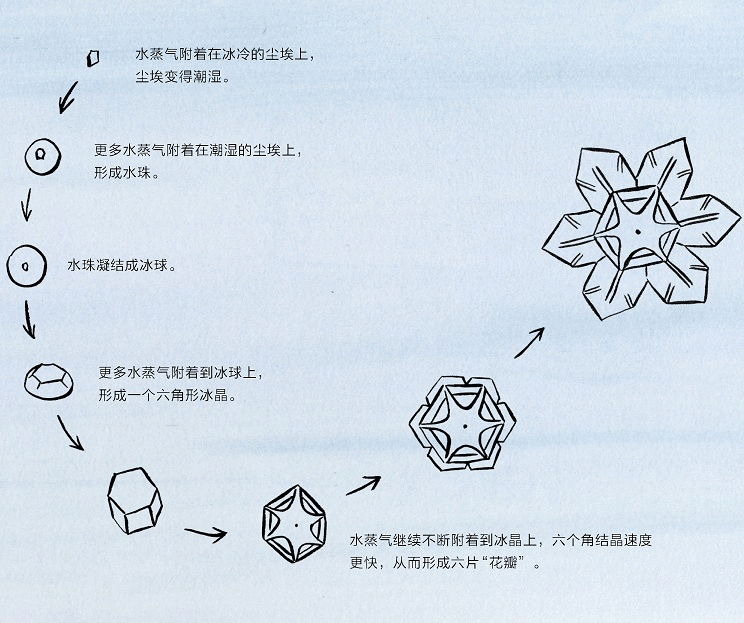每天了解一种自然现象-“白色狂徒”暴风雪-3.jpg