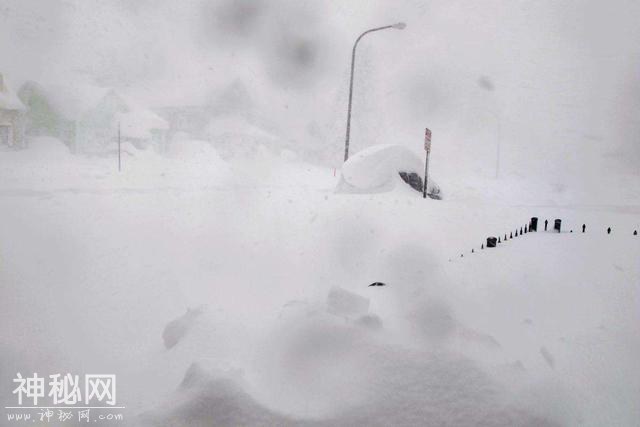 每天了解一种自然现象-“白色狂徒”暴风雪-11.jpg