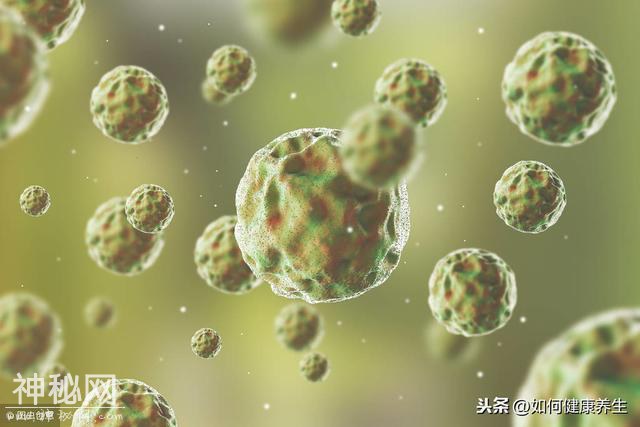 吃进肚子里的细菌，源头不是食物，也不是饮用水，而是这4处地方-1.jpg