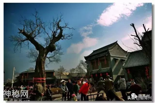 中央电视台：青州是一本活的历史书-1.jpg