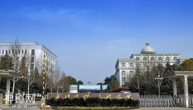 还在说生物工程就业难？其实生物工程正在迎来一个小春天-4.jpg