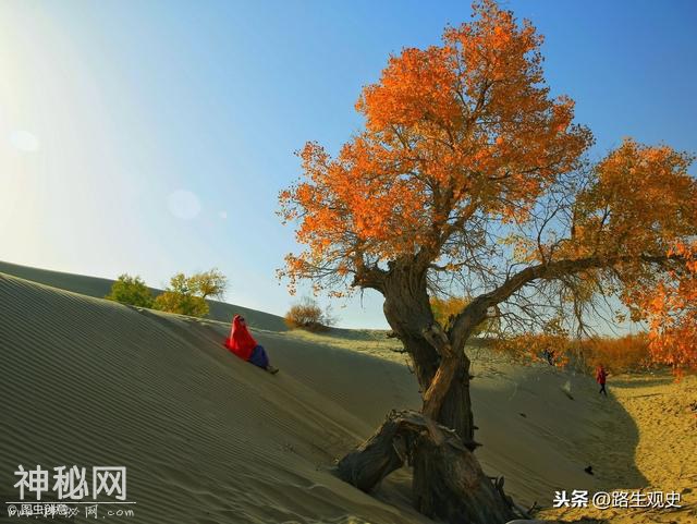 老子出函谷关后，去了哪？内蒙古人说到了这儿，和罗布泊一样神奇-10.jpg