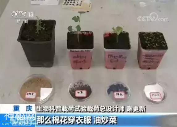 靓科技！六种生物登上月球，棉花率先发芽！-3.jpg