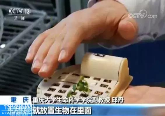 靓科技！六种生物登上月球，棉花率先发芽！-5.jpg