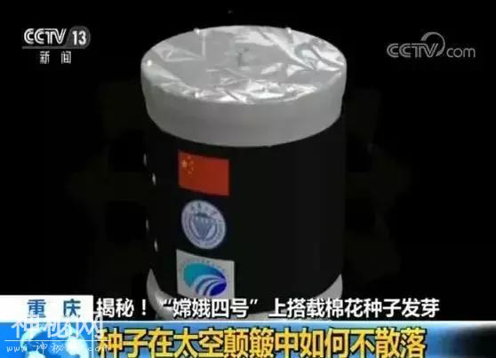 靓科技！六种生物登上月球，棉花率先发芽！-4.jpg