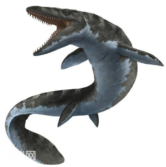 这种远古生物是最早回归水下的生物，最喜欢的食物就是鱼类-3.jpg