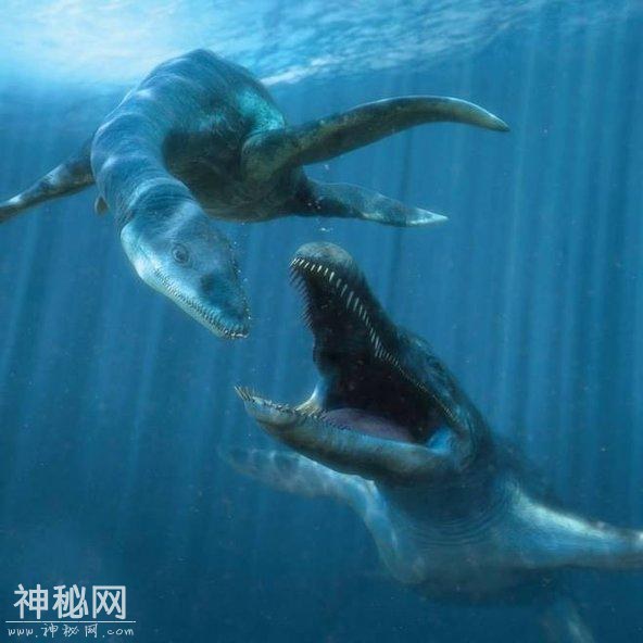 这种远古生物是最早回归水下的生物，最喜欢的食物就是鱼类-2.jpg