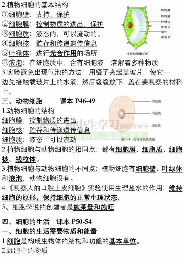 7年级生物上学期期末考试必备复习提纲！期末提分超有用，赶紧背-6.jpg