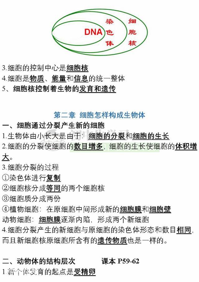 7年级生物上学期期末考试必备复习提纲！期末提分超有用，赶紧背-8.jpg