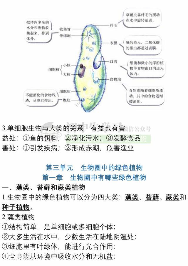 7年级生物上学期期末考试必备复习提纲！期末提分超有用，赶紧背-11.jpg